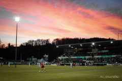 AE83B415-3696-4D3C-B86A-8E20EAD25E54