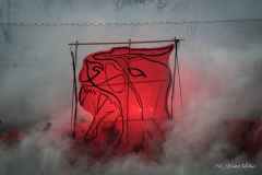 A8282D54-2486-4260-BB5B-E5F3AE871452