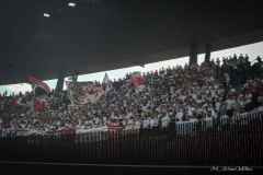 FB6EC4D7-9AA3-4F7A-940C-EFB83DCC1C27